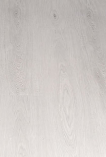 Nature 1701